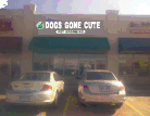 Dog Gone Cute - Cover photo