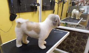 Dog Grooming Sarvice Home Vigit - Logo