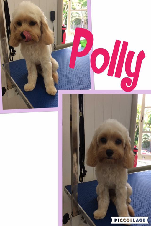 Doggy Day Spa - Logo