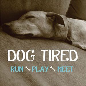 Dog Tired Toronto - Logo