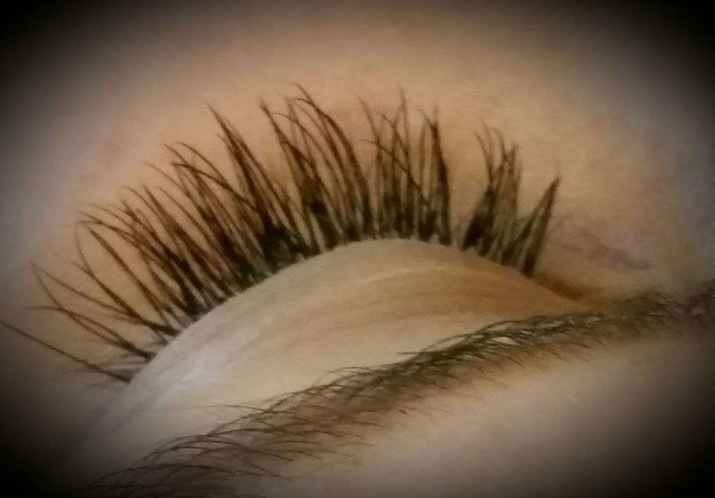 Dolled Beauty Bar - Cover photo