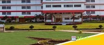 Dolphin International School - Logo