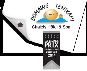 Domaine TémiKami - Logo
