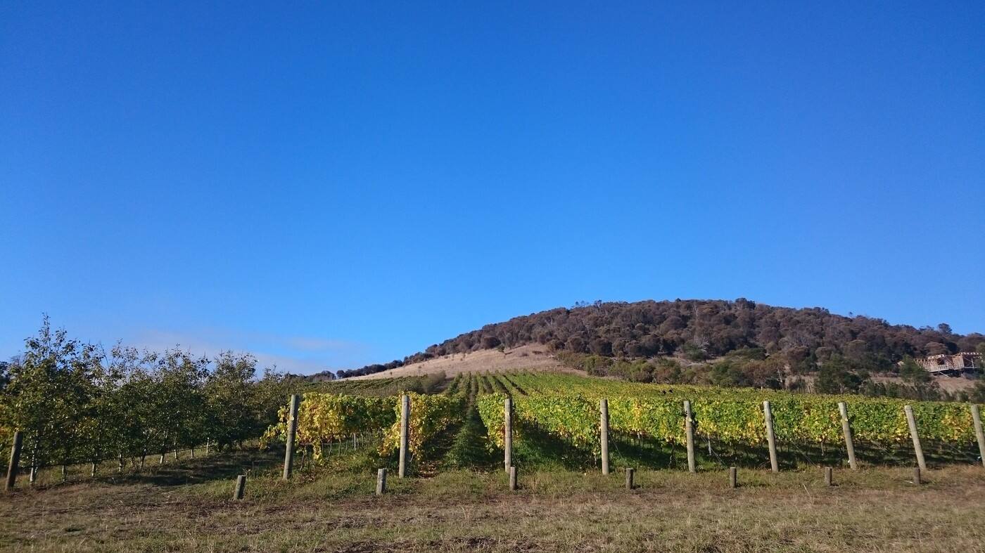 Domaine Wine Shippers (Tas) - Cover photo