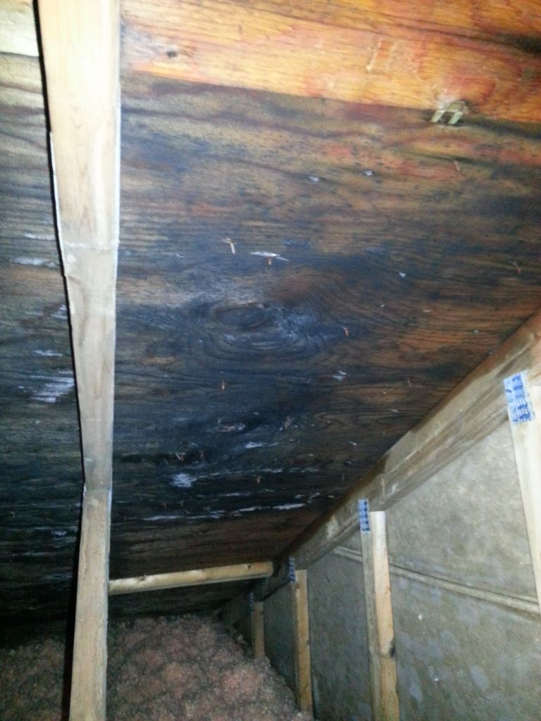 Dome Contracting &a; Insulation Inc - Logo