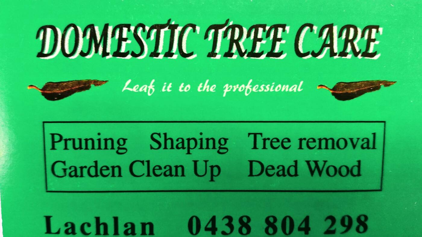 Domestic Tree Care - Cover photo