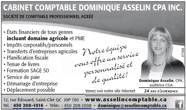 Dominique Asselin CPA Inc - Cover photo