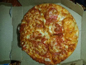 Domino's Pizza - Logo