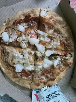 Domino's Pizza - Logo
