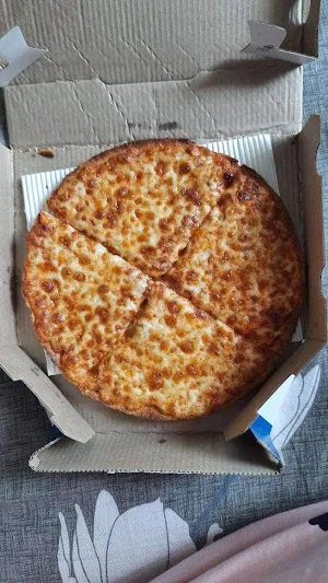 Domino's Pizza - Logo