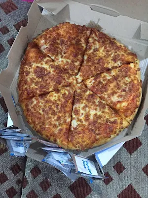 Domino's Pizza - Logo