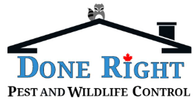 Done Right Pest and Wildlife Control - Logo