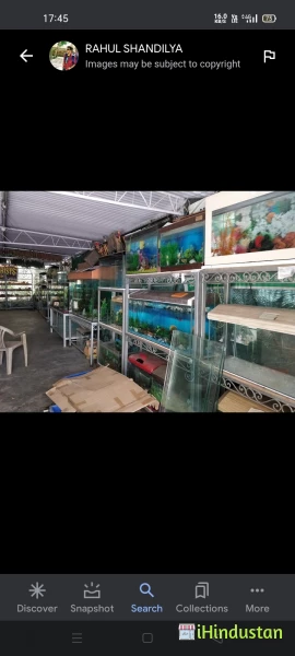 Donor Aquarists - Aquarium fish shop - Logo