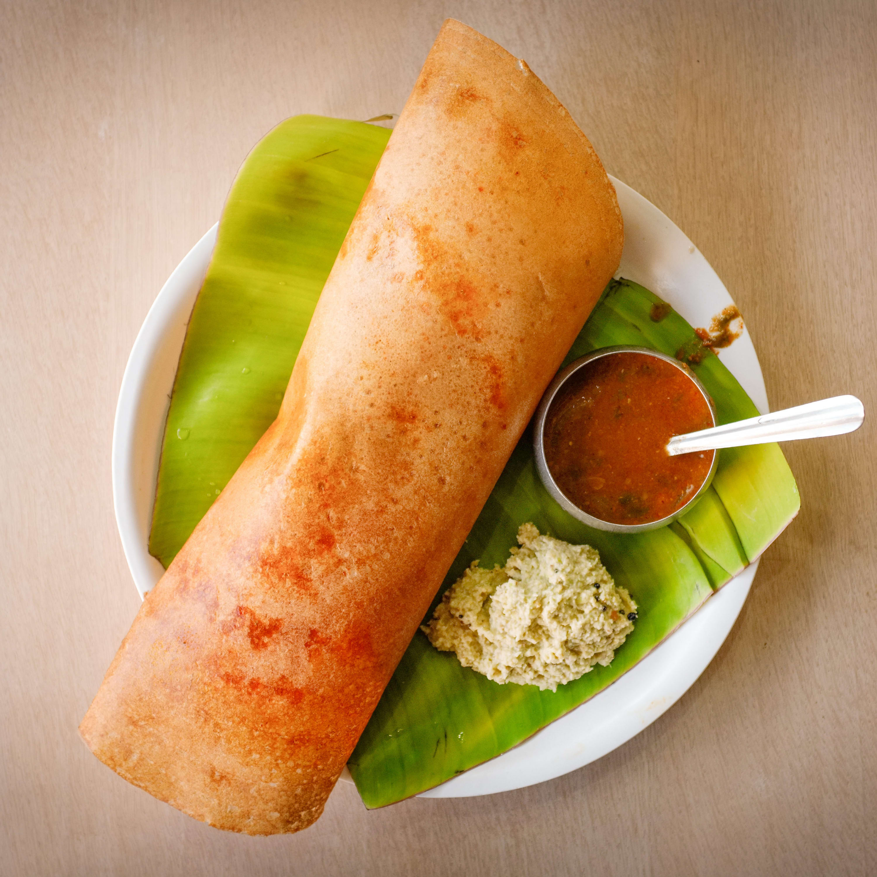 Dosa house - Logo