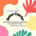 Dotex Courier - Logo