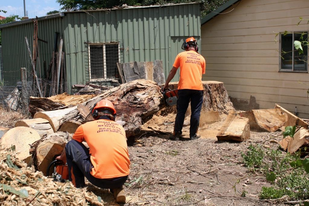 Dowling Tree Services - Logo