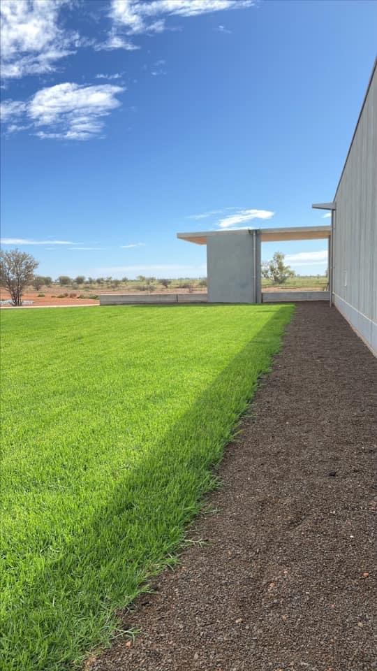 Downs Turf - Cover photo