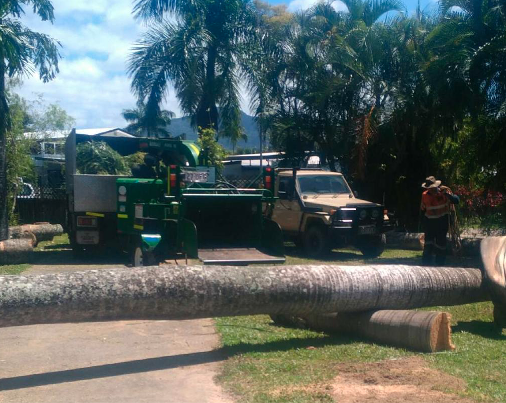 Down To Earth Tree Services - Cover photo