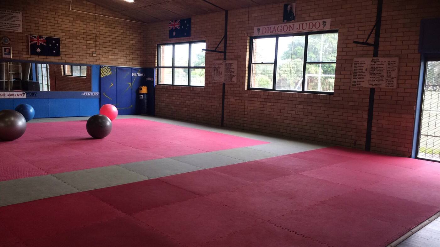 Dragon Judo Club - Logo