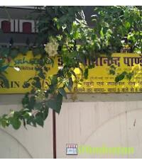 Dr Ajay Kumar Pandey Clinic - Logo