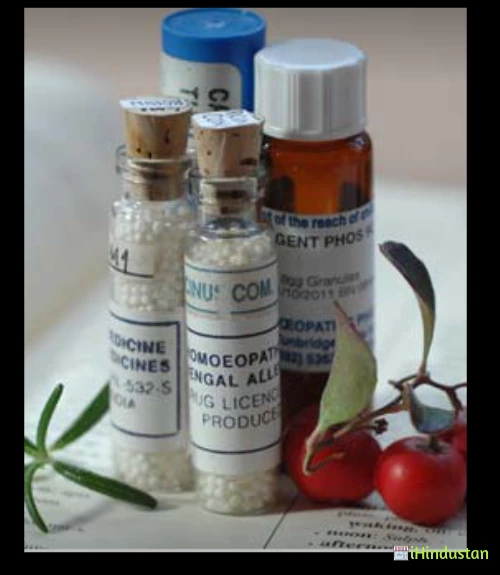 Dr. Anshita Singh Rathores Homeopathy - Logo
