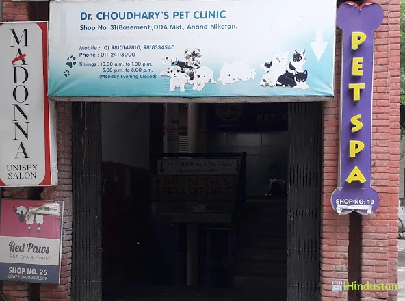 Dr Choudhary's Pet Clinic - Logo