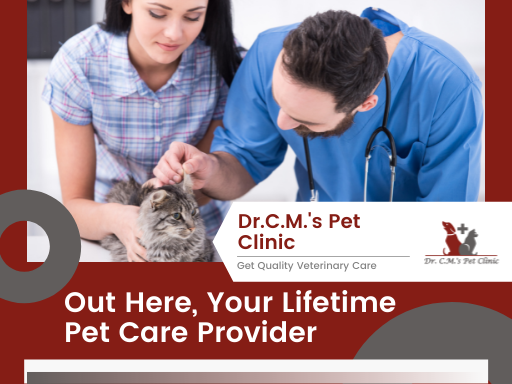 Dr Cms Pet Clinic - Cover photo