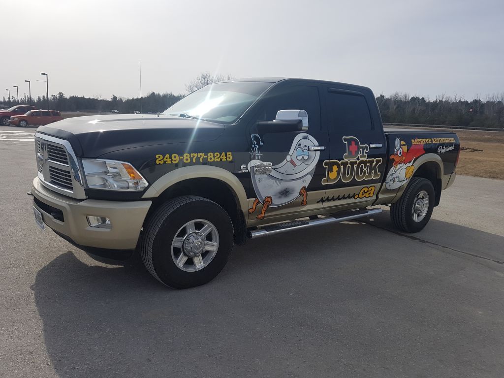 Dr Duck Bathtub Refinishing - Logo