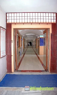 Dr. D. Y. Patil Institute of Pharmaceutical Sciences & - Logo