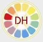Dream Heli 290789 - Logo