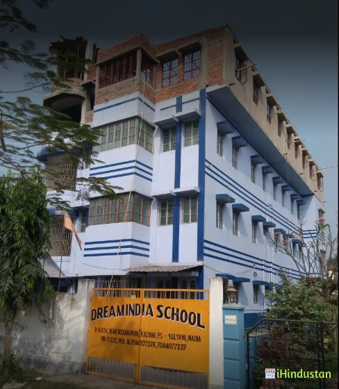 Dream India School - Logo
