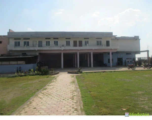 Dream India School - Logo