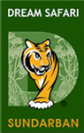 Dream Safari - Logo