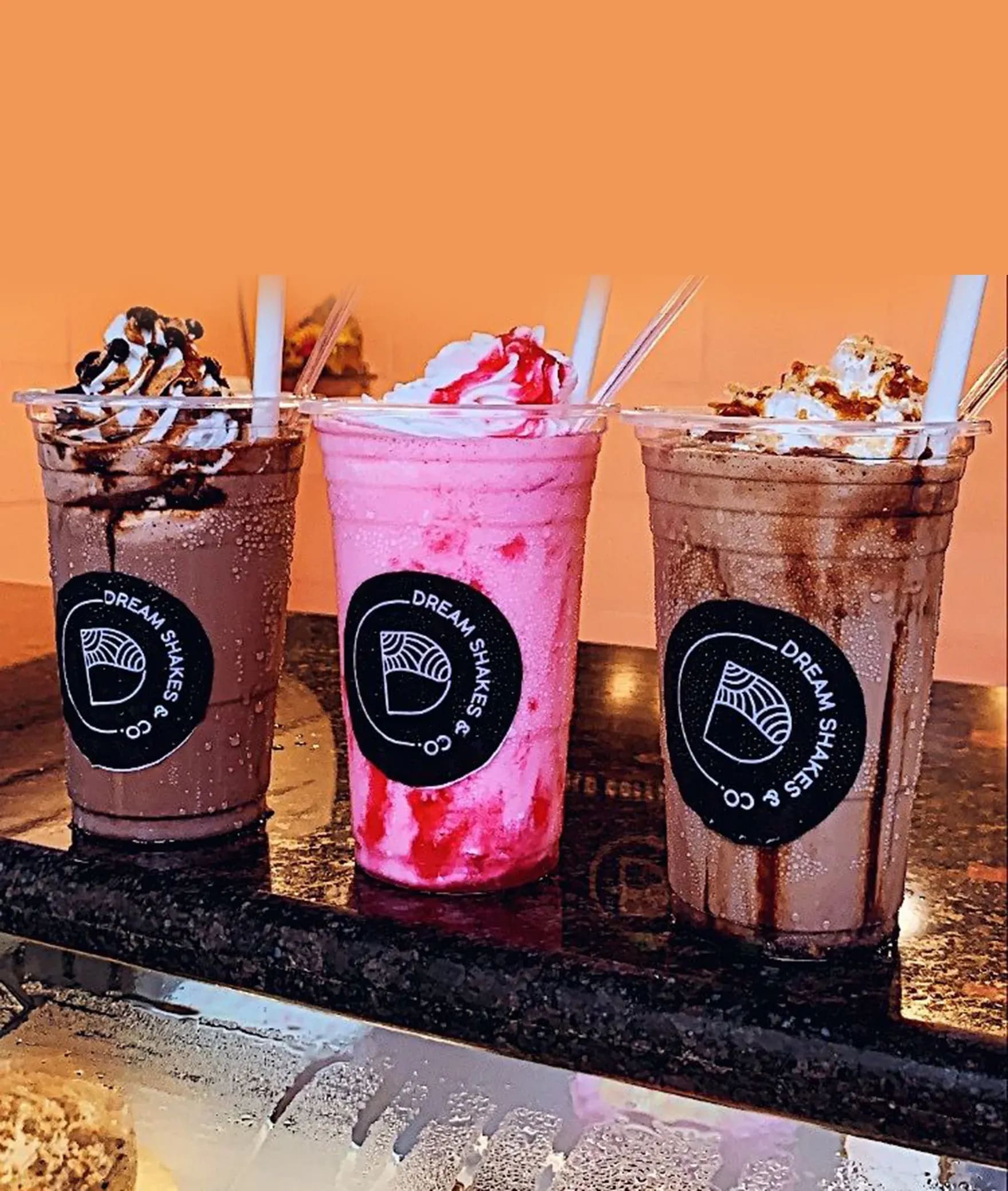 Dream shakes And Co. - Logo