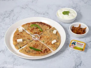 Dream Star Paratha - Logo