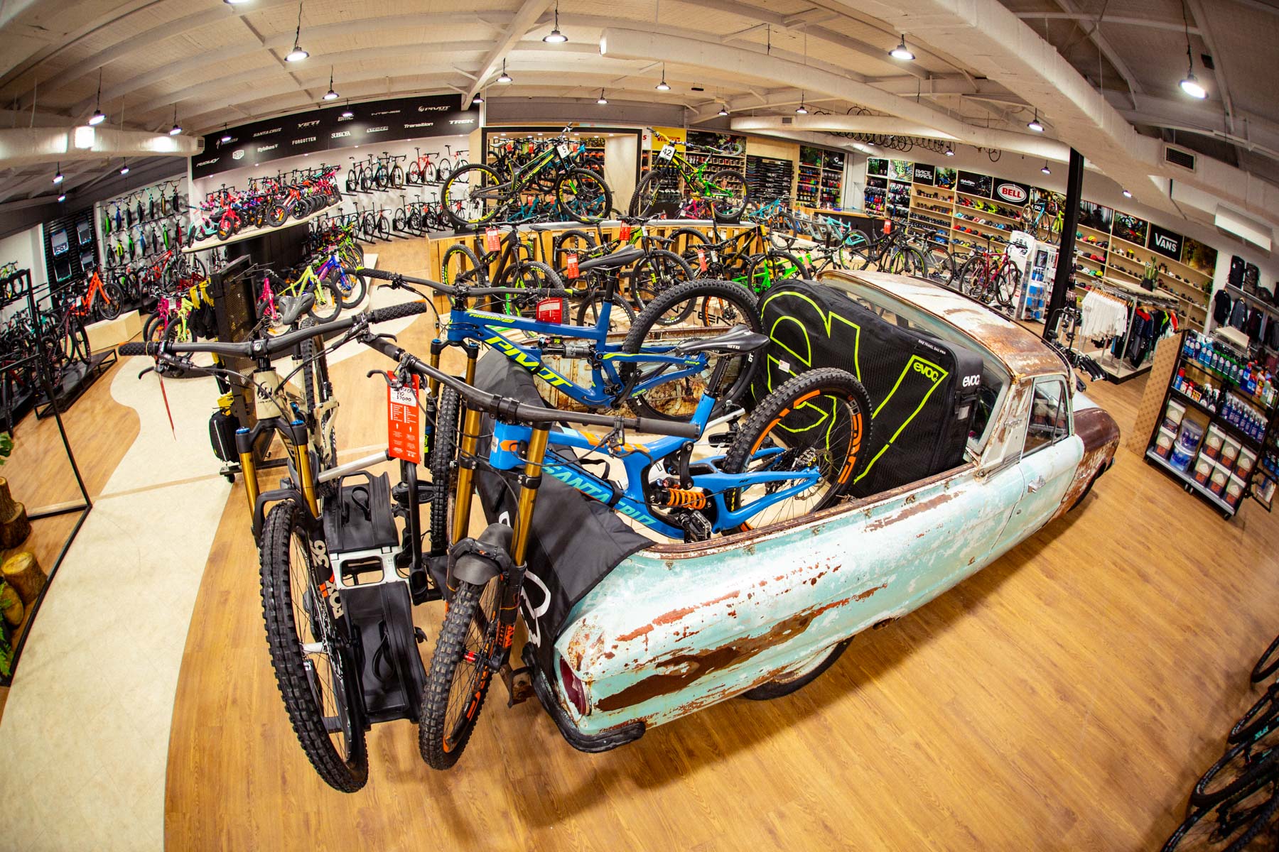 Drift Bikes - Logo