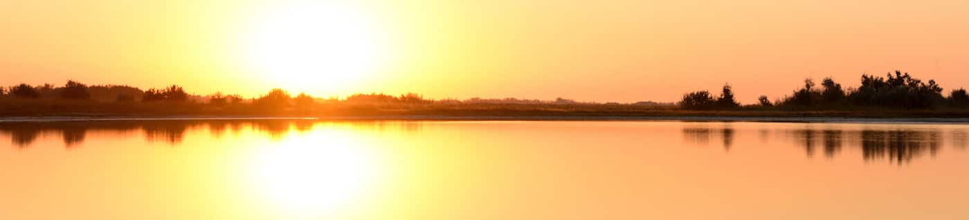 drishti massage + spa therapies - Cover photo