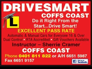Drivesmart - Logo