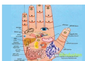 Dr. Jimmy Acupressure Clinic - Logo