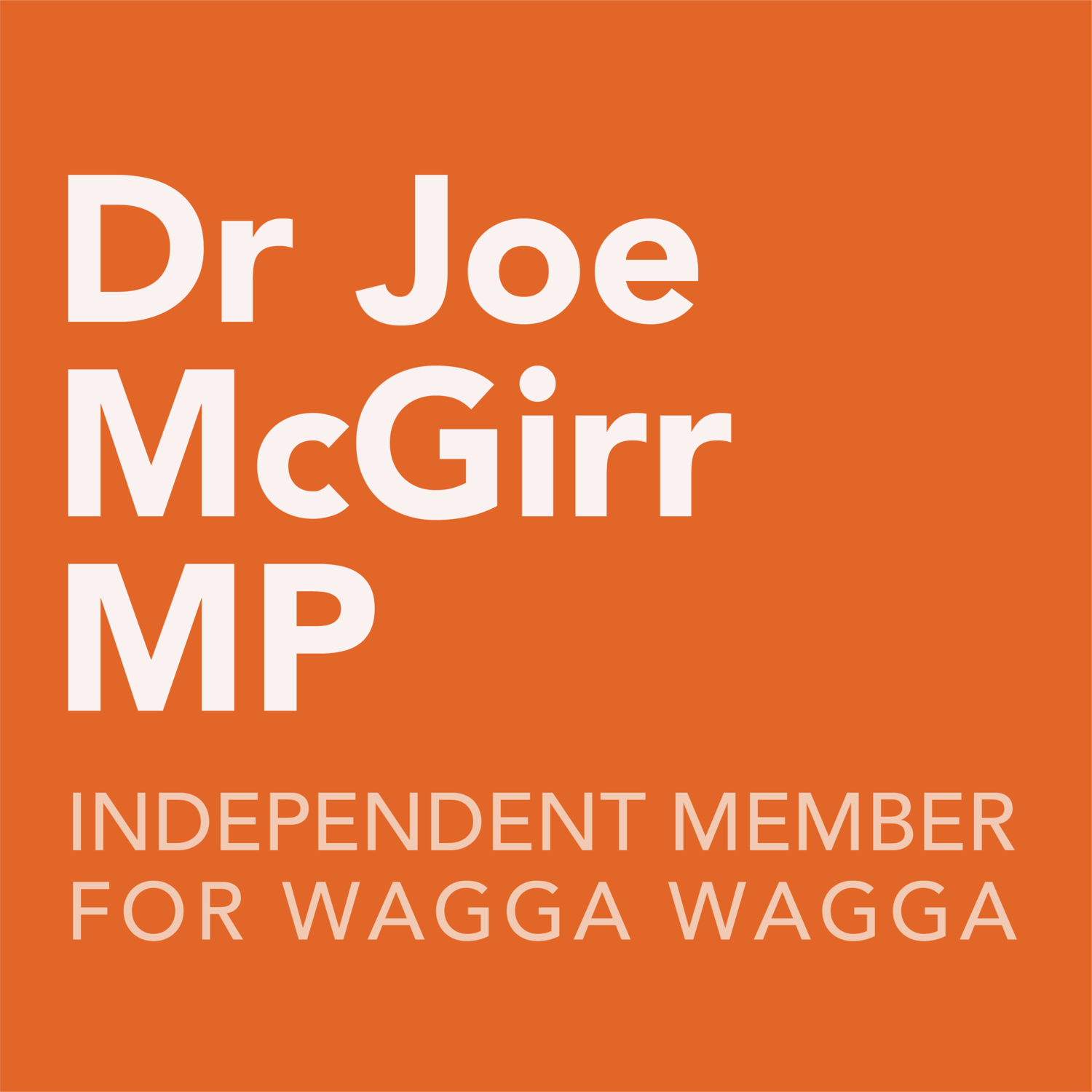 Dr Joe McGirr MP - Logo