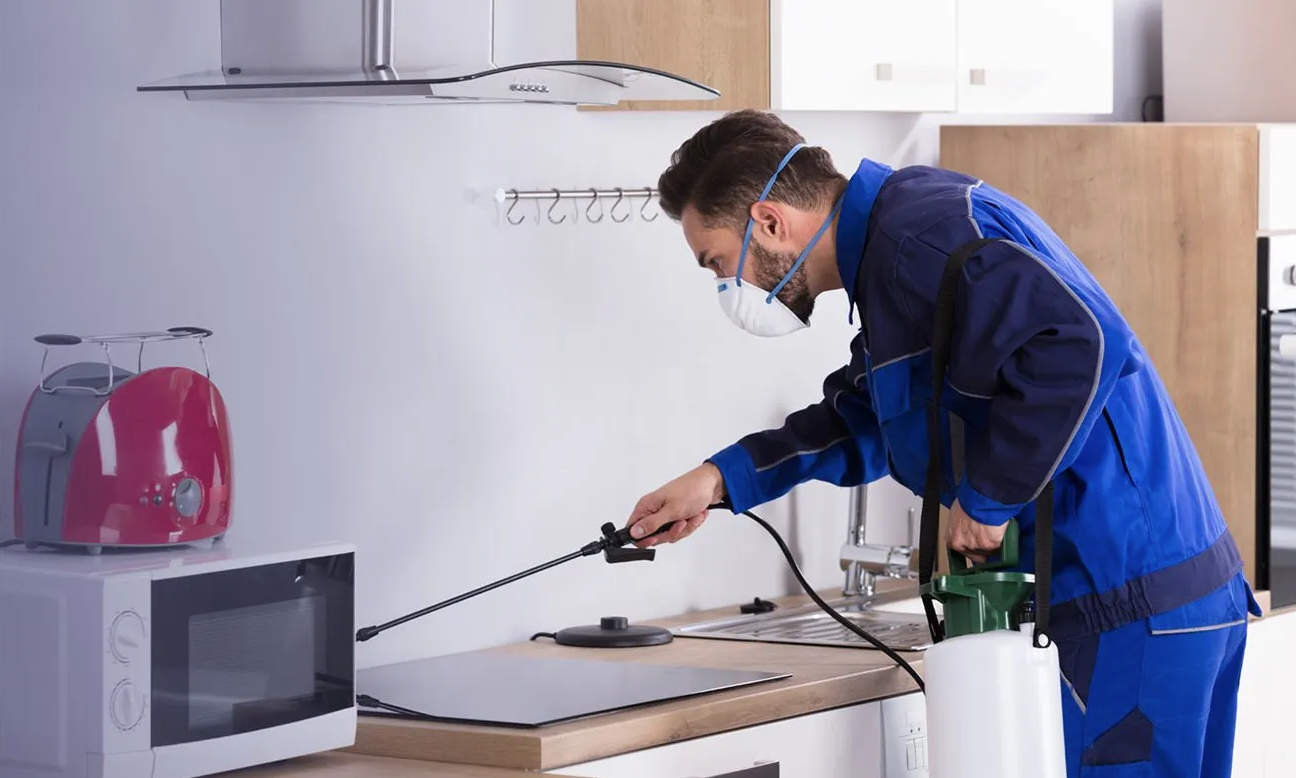 Dr Maks Pest Control - Cover photo