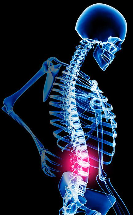 Dr Martin Lapointe D.C Chiropractor - Logo