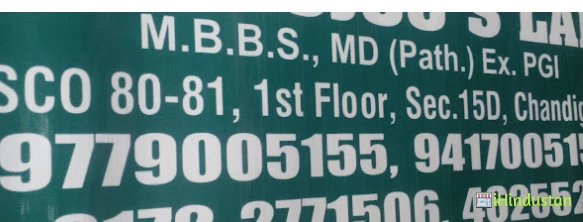 Dr. Mujoo's Lab - Logo