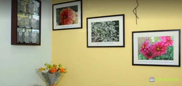 Dr Nicola Coutinho Homoeopathic Clinic - Logo