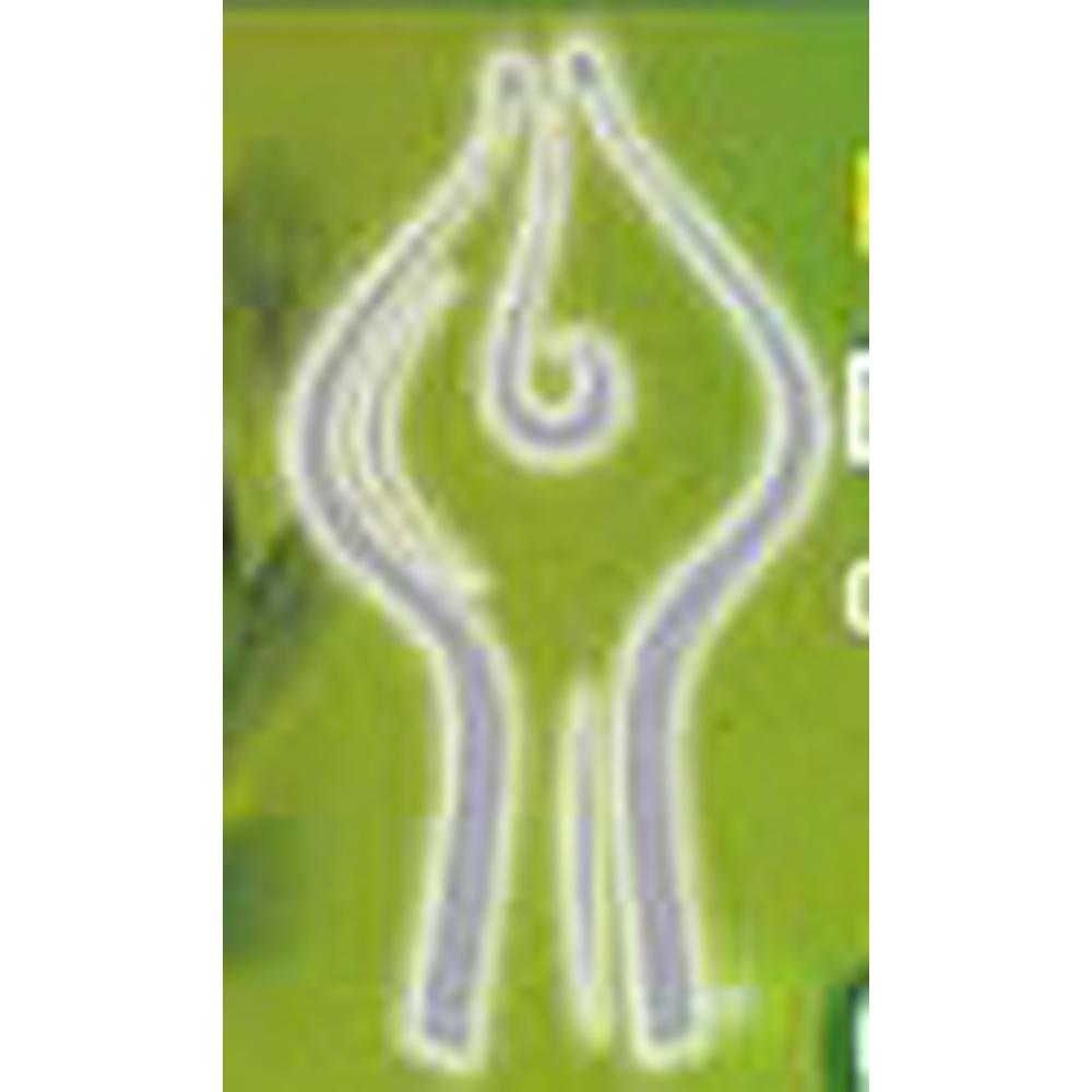 Dr. R. G. Bhoyar Institute of Pharmaceutical Education & Research (RGBIPER) - Logo