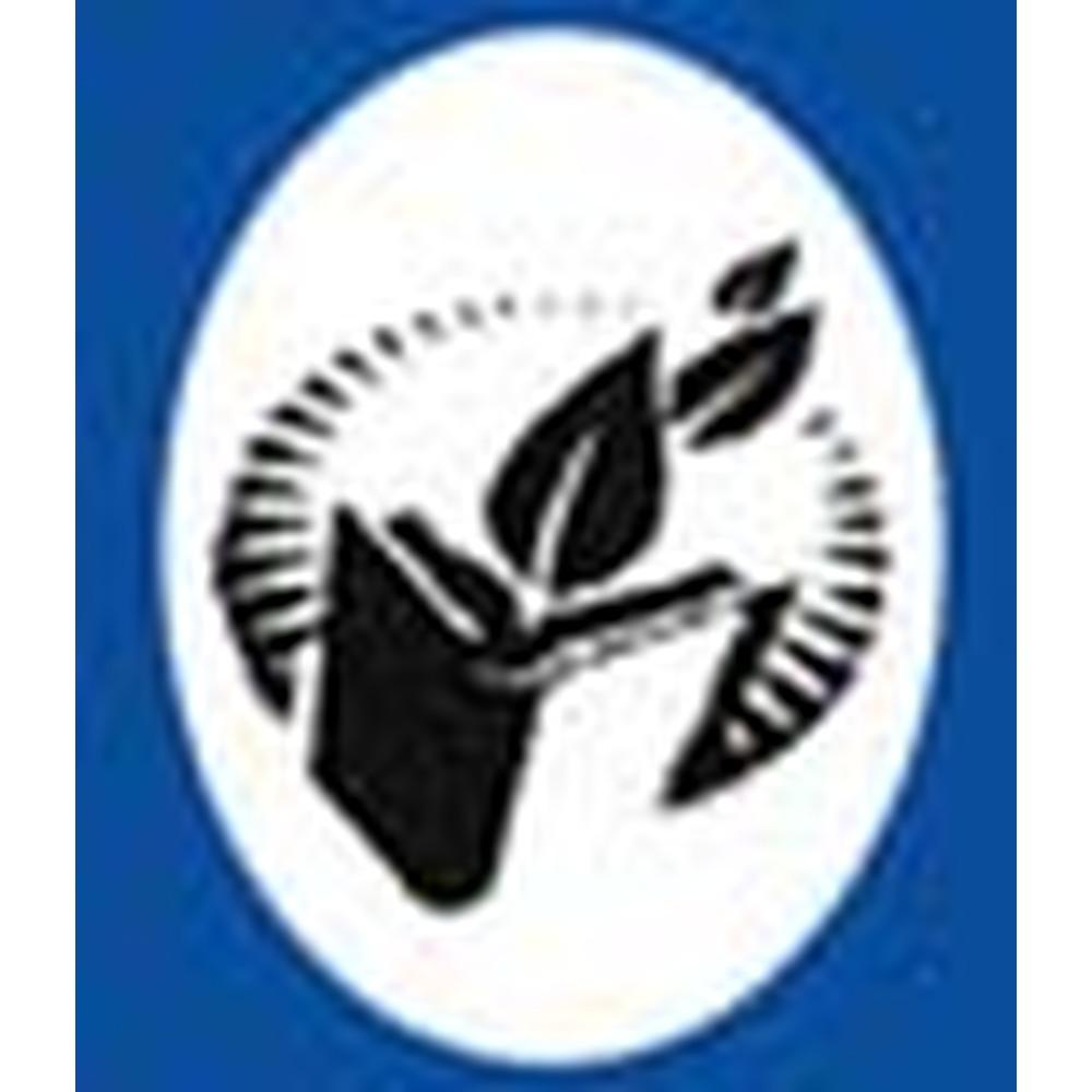 Dr. Subhash Mahila Arts, Commerce and Home Science College (DSMACHSC) - Logo