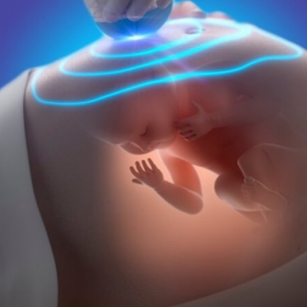 Dr Vibha Sharma Gynecologist In Jaipur - Cover photo