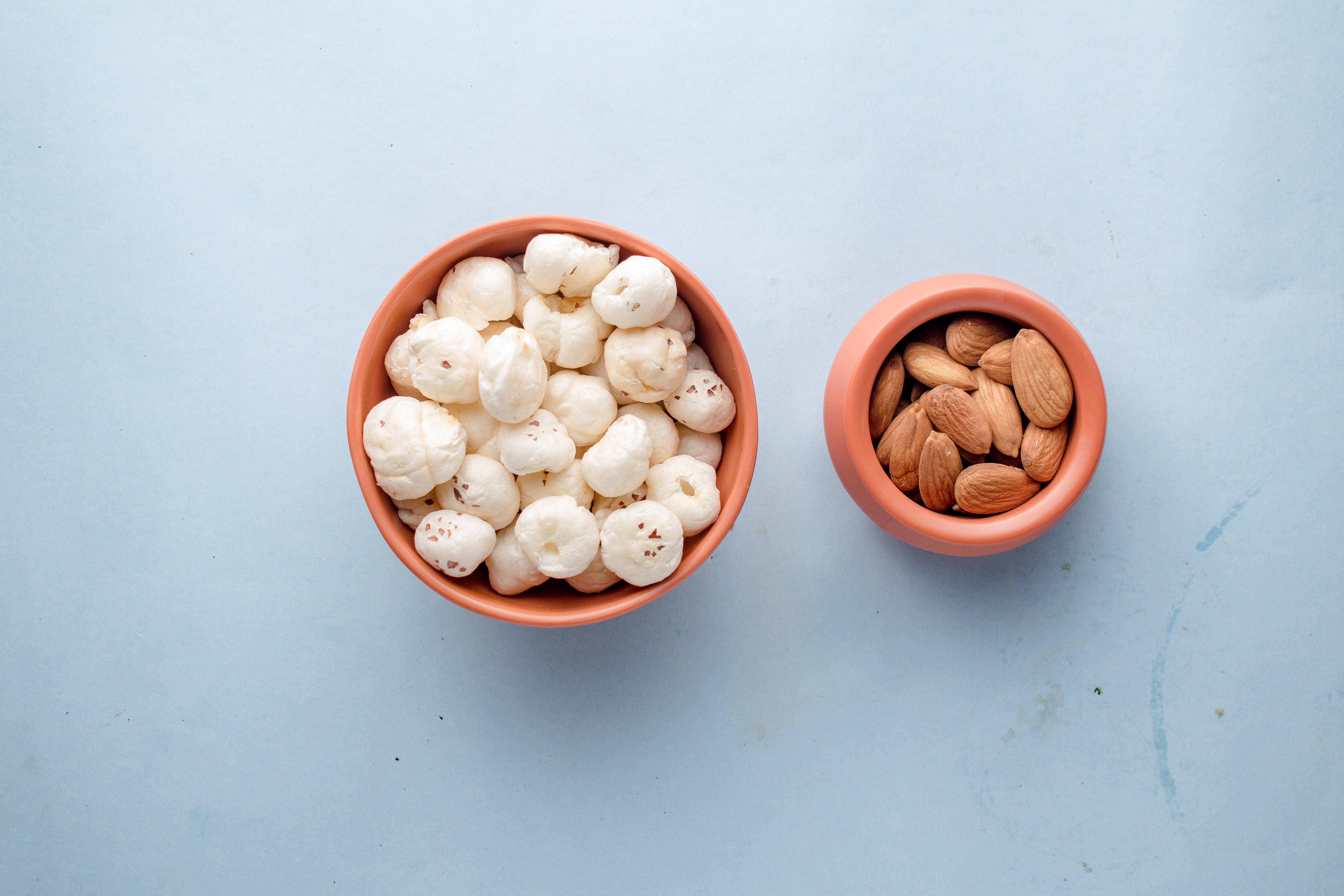 DryFruits Store - Logo