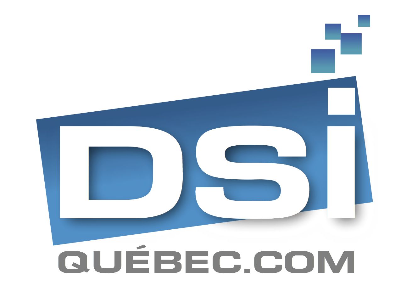 DSI Québec - Logo