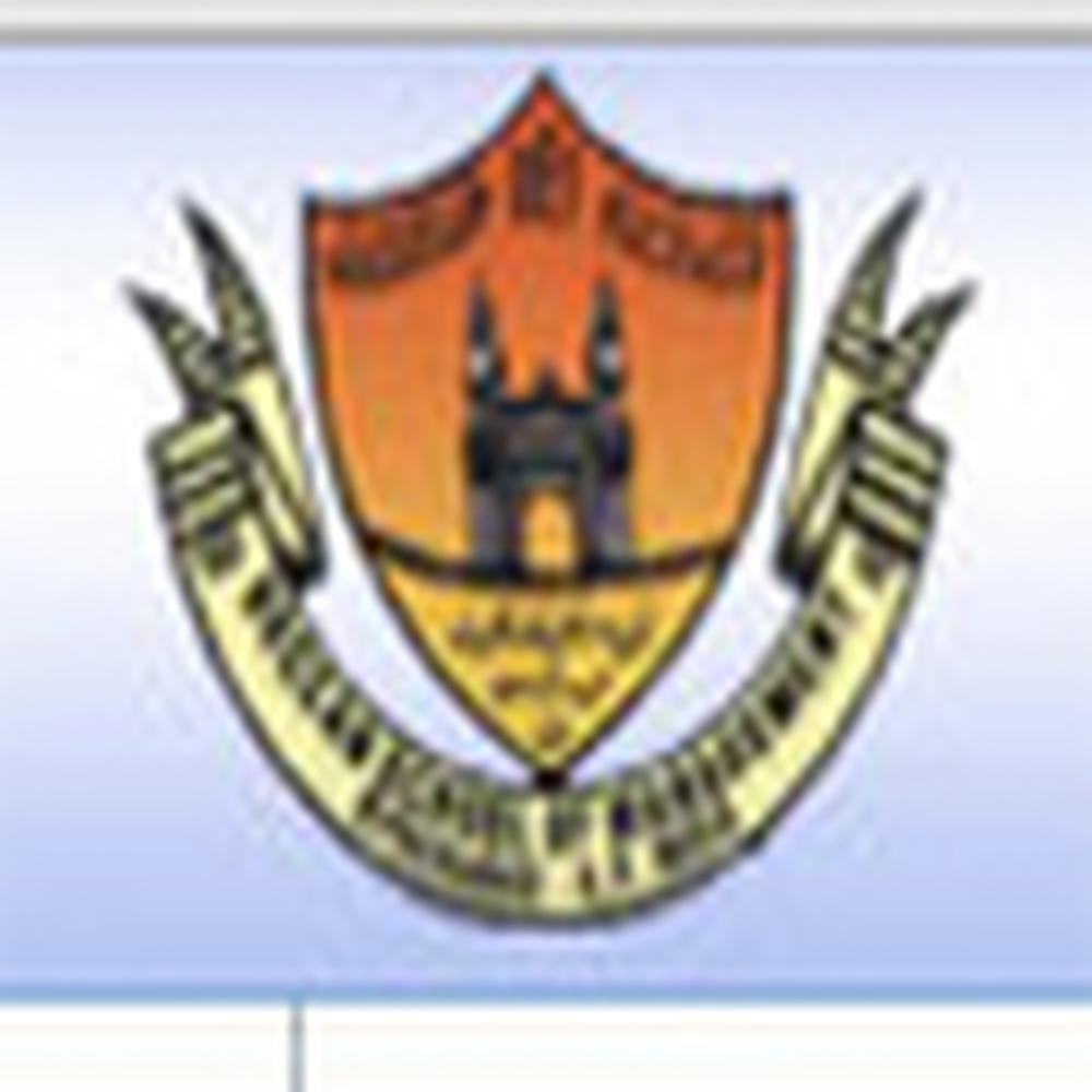 DSM Hyderabad (DSM) - Logo